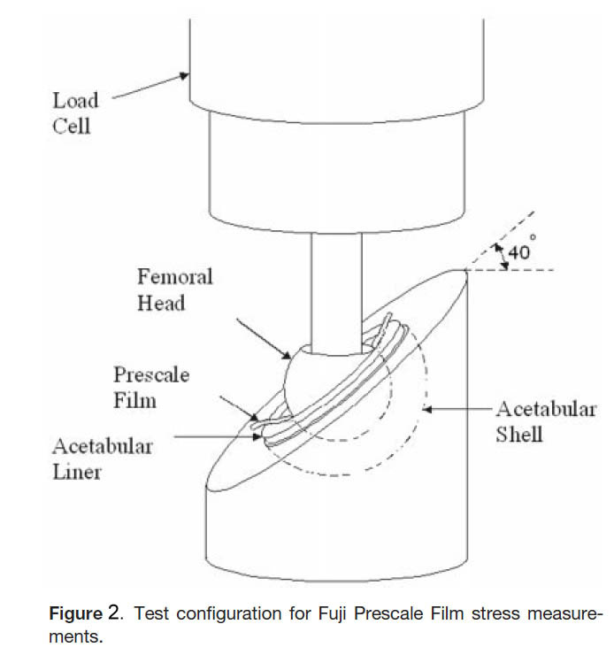 Fuji Prescale Tactile Pressure Mapping For Improved Artificial Hips Design: Rig for measuring tactile pressure in artificial hip design